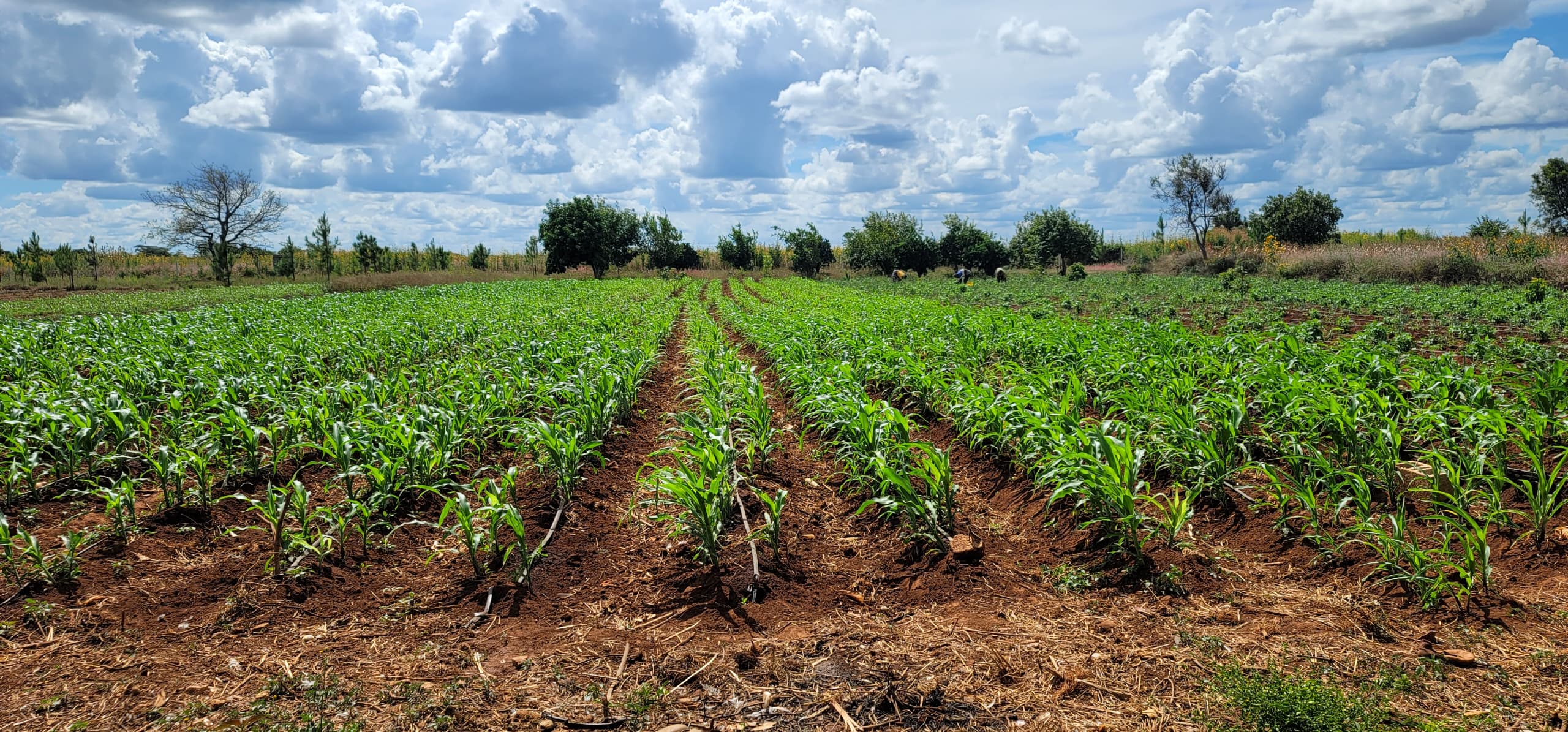 About Hetomach Farms Images