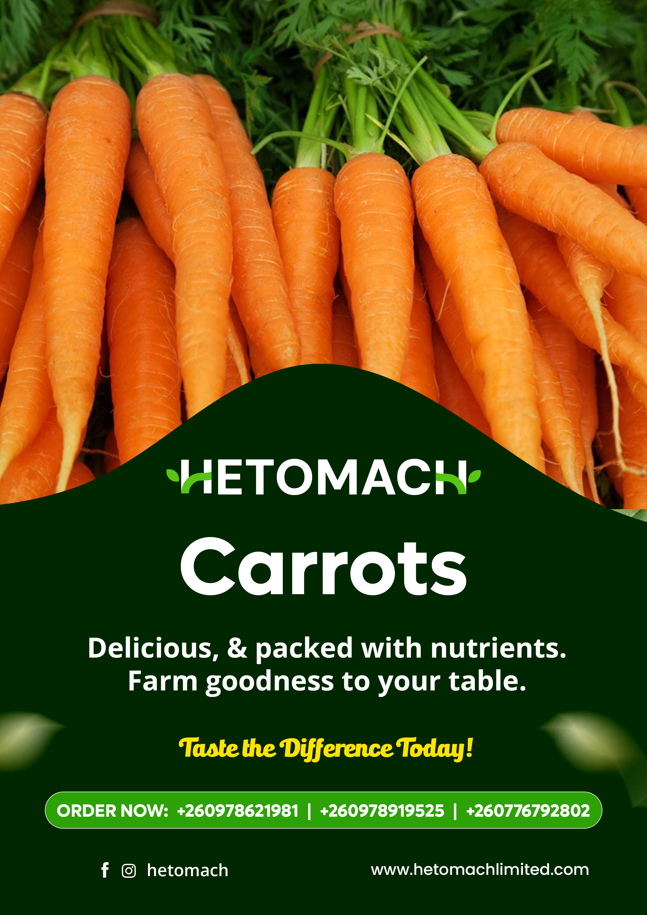 Fresh Carrots from Hetomach Farms